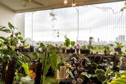 Leighwoods (D10), Condominium #453247371